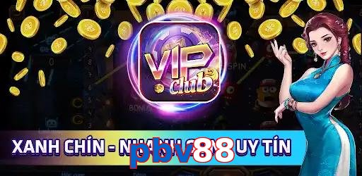 pbv88