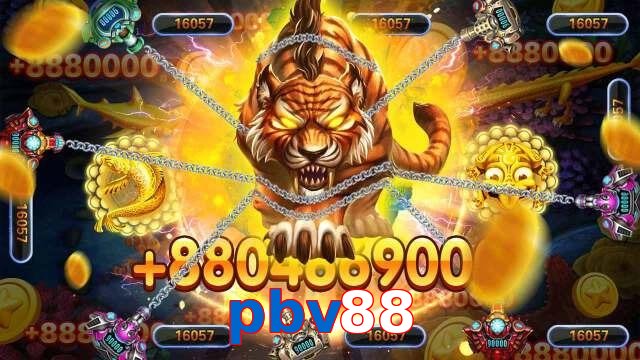 pbv88