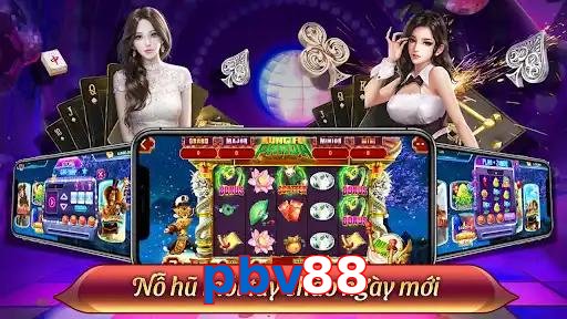 pbv88