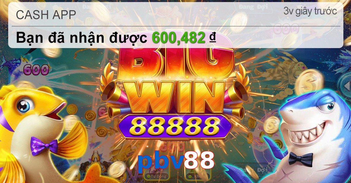 pbv88
